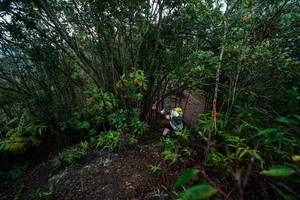 BIB: 
                            <button type="button" onclick="openModal(26196433)" class="btn btn-primary btn-sm float-right btn-popup" data-toggle="modal" data-target=".modal-high-quality">
                        <i class="fas fa-shopping-cart"></i> Add to Cart
                    </button>
                                            <button type="button" onclick="isThisMe(26196433, true)" class="btn btn-success btn-sm float-right btn-popup btn-isme hidden" data-toggle="tooltip" data-placement="bottom" title="นี่คือรูปของคุณใช่ไหม คลิกที่นี่เพื่อเอาเข้าอัลบั้ม">
                        <i class="fas fa-plus"></i> Add to album
                    </button>
                    <button type="button" onclick="isThisMe(26196433, false)" class="btn btn-warning btn-sm float-right btn-popup btn-isnotme hidden">
                        <i class="fas fa-ban"></i> Remove from album
                    </button>